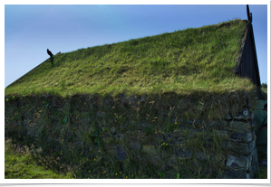 Sod roofs were the norm.